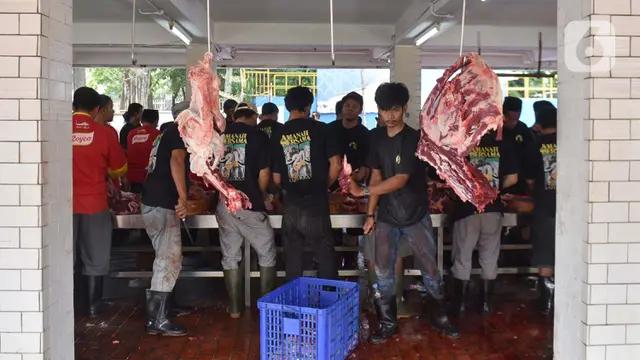 Daging Kurban Idul Adha 2025: Kolesterol Tinggi atau Asam Urat?