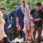 Hindari GERD Saat Idul Adha: Tips Makan Daging Kurban Sehat