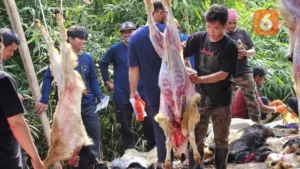 Hindari GERD Saat Idul Adha: Tips Makan Daging Kurban Sehat
