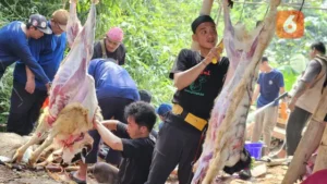 Hindari GERD Setelah Makan Daging Kurban: Tips Pencegahannya