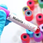 Papua: Kemenkes Perangi Malaria, Kasus Tinggi Butuh Perhatian