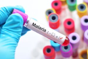 Papua: Kemenkes Perangi Malaria, Kasus Tinggi Butuh Perhatian