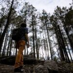 Rahasia Alam: Obati Nyeri Kronis Secara Alami & Efektif