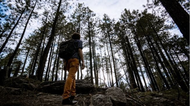 Rahasia Alam: Obati Nyeri Kronis Secara Alami & Efektif