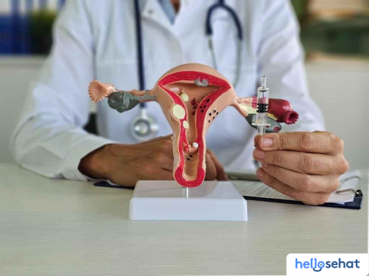 Rahasia Kesuburan: Program IVM Tingkatkan Peluang Hamil Anda