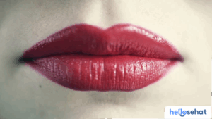 Rahasia Labia Wanita: Fungsi, Fakta Unik & Kesehatan Seksual