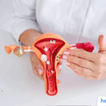 Rahasia Ovarium: Fungsi Vital Sistem Reproduksi Wanita