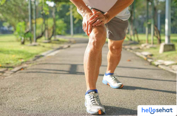 Rahasia Paha & Bokong Kuat: Panduan Lengkap Leg Day