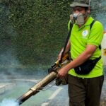 Waspada Demam Berdarah! Lindungi Keluarga Anda dari Gigitan Nyamuk Sekarang