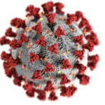 Waspada! Virus HKU5: Ancaman Pandemi Baru Mirip Covid-19
