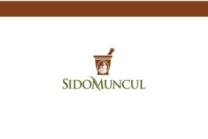Lowongan Senior Web Programmer (fullstack) Sido Muncul Bekasi