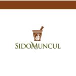 Lowongan Senior Web Programmer (fullstack) Sido Muncul Sampang